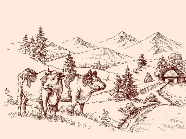 Vaches dessin de ferme, conception d'étiquette laitière pâturage bovins — Image vectorielle