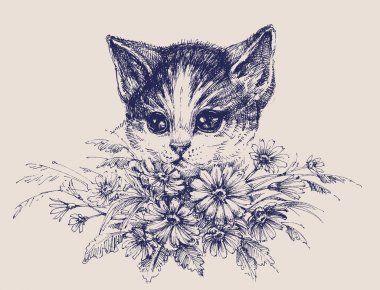 Şirin kedi portre çiçekler bir grup ile