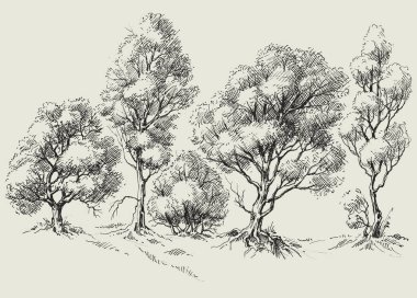 Grafik ağaçları çizgi veya kenarlık