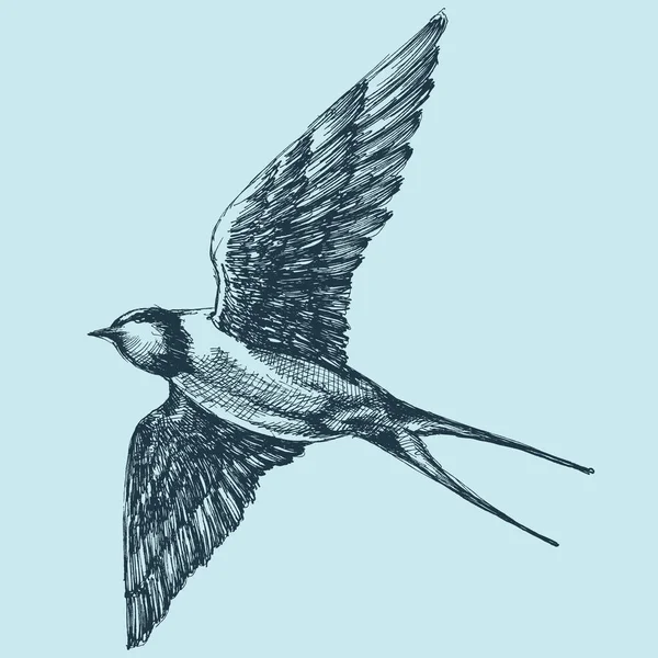 Vlaštovka v letu, detailní Ruční kresba — Stockový vektor