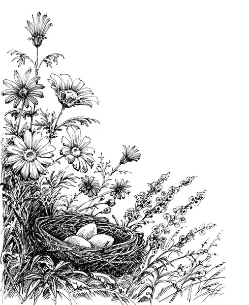 Fundo floral e um ninho de pássaros —  Vetores de Stock