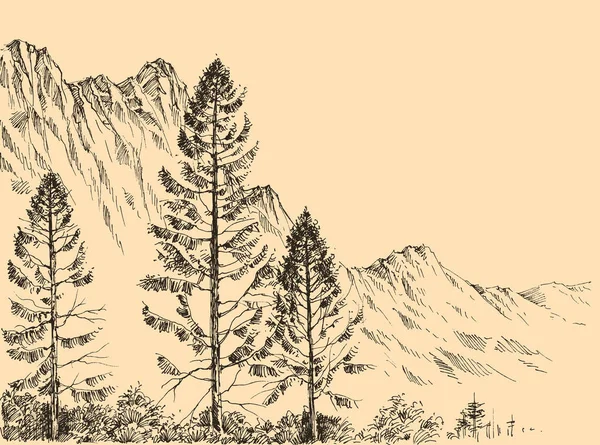 Desenho vetorial paisagem alpina — Vetor de Stock