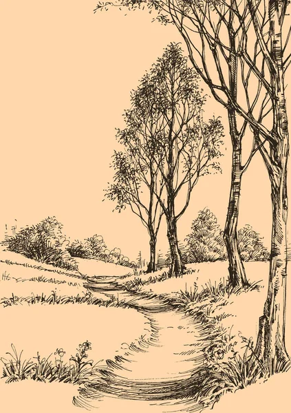 Un chemin dans le parc croquis papier peint — Image vectorielle