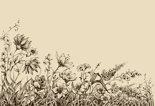 Campo flores borda desenho — Vetor de Stock