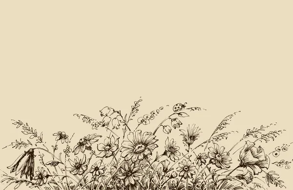 Blommig bakgrund ritning — Stock vektor