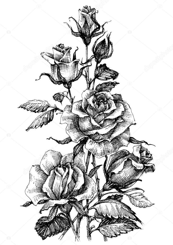 Beautiful roses bouquet