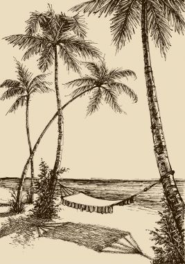 Sahildeki hamak