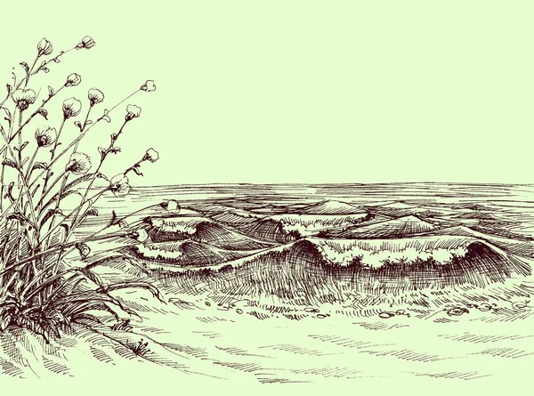 Strand en zee koolstof tekening — Stockvector