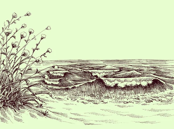 Plage et mer dessin au carbone — Image vectorielle