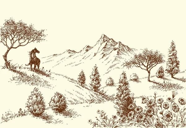 风景, 荒野和马 — 图库矢量图片