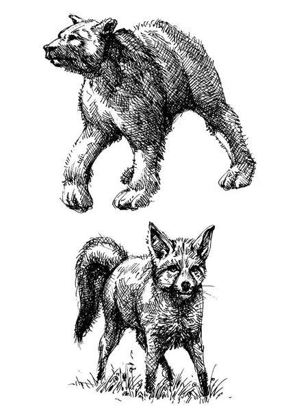 Tiere Kritzelset. Handzeichnungen von Bär und Fuchs — Stockvektor