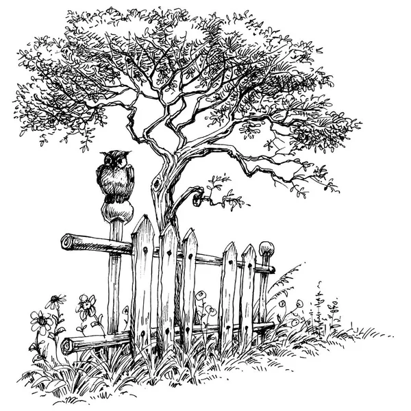 Uil zittend op een rurale landschap van houten hek — Stockvector