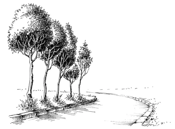Δέντρα σοκάκι στο πάρκο σκιαγραφημένος ταπετσαρία — Διανυσματικό Αρχείο