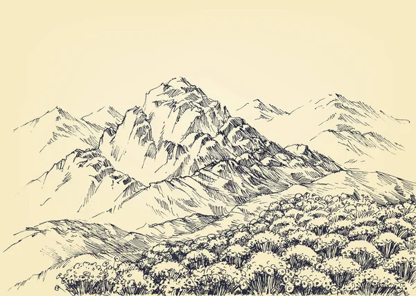 Bergpanorama Und Eine Schöne Almwiese — Stockvektor