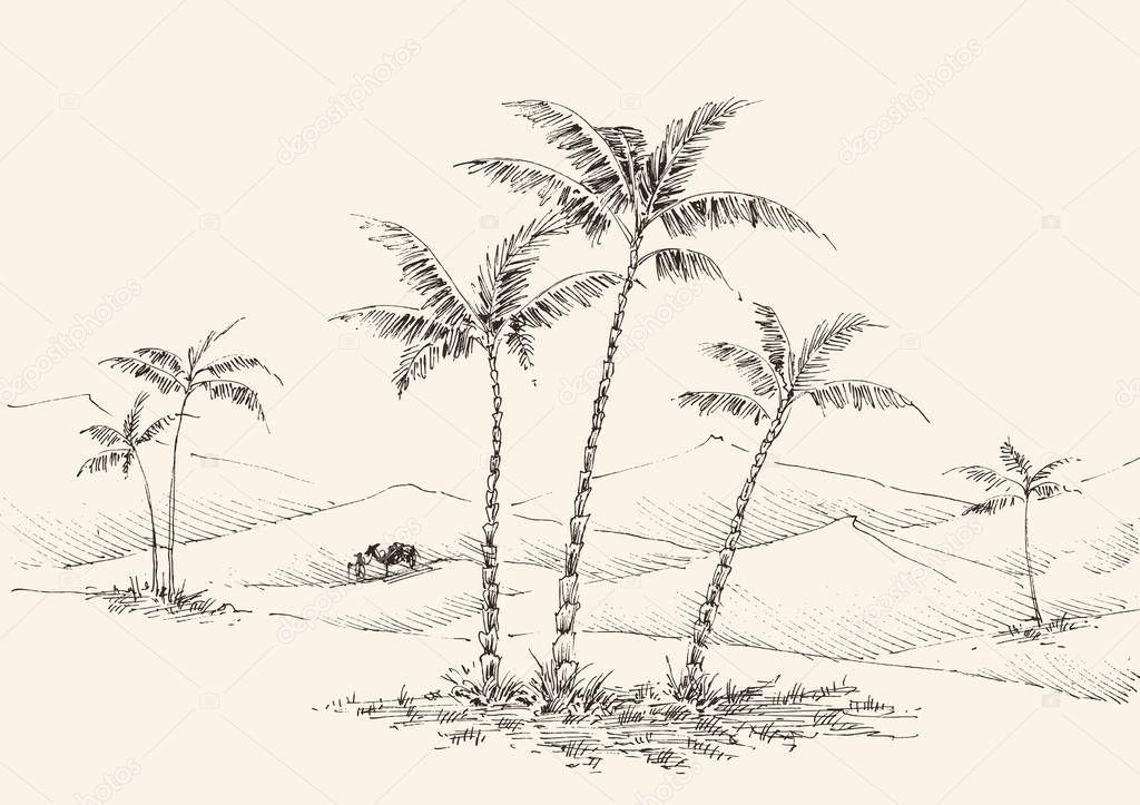 Oasis in the desert hand drawing, palm trees, fountain water