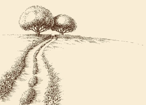 Fond d'écran nature, deux arbres sur une colline et le chemin vers les arbres — Image vectorielle