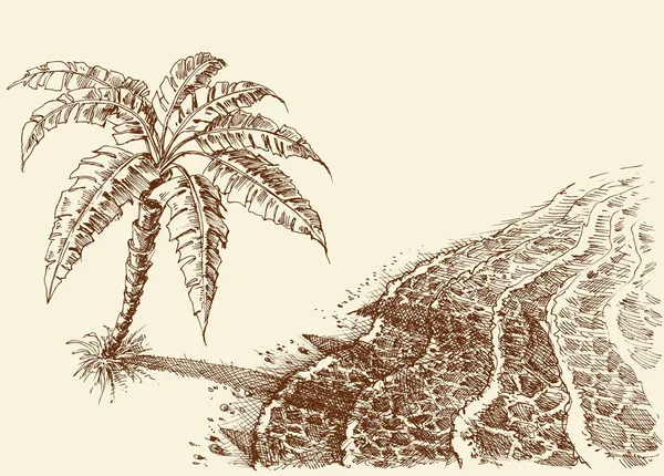 Palmera Dibujo Mano Playa Orilla Del Mar Vista Desde Arriba — Archivo Imágenes Vectoriales