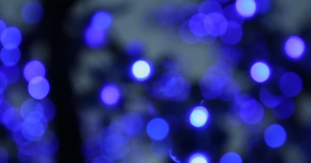 4K fond bokeh  