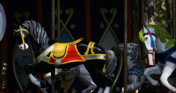 Bir karnaval neşeli yuvarlak git atları ile Carousel — Stok video