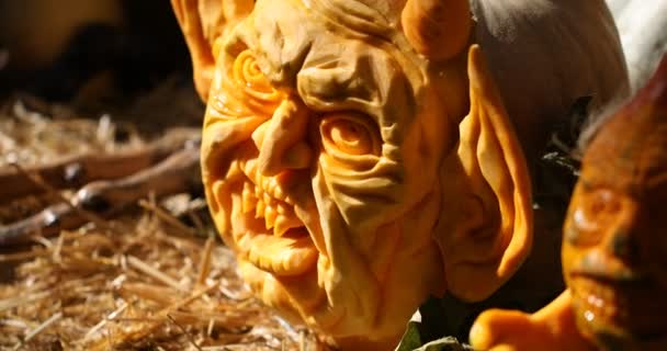 Carving Helloween pumpkin — Stock Video