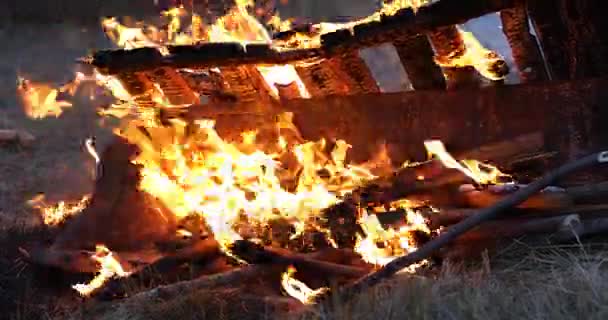 Oheň v přírodě — Stock video