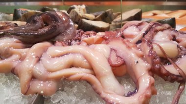 Balık pazarında taze mürekkep balığı ve ahtapot. Buzda sağlıklı deniz ürünleri. 