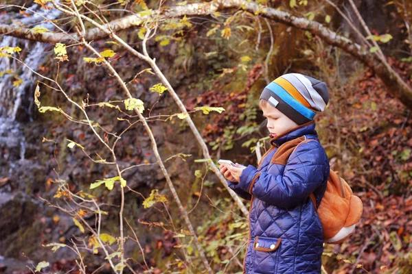 Niño pequeño de pie en el bosque al aire libre con teléfono móvil — Foto de Stock