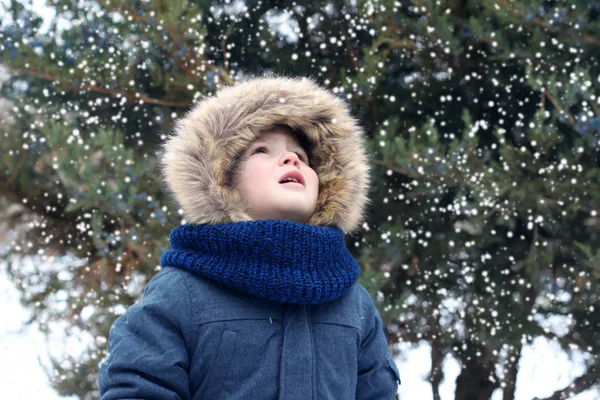 Mały chłopiec w Błękitnej Kurtki patrzy na padający śnieg zimą p — Zdjęcie stockowe