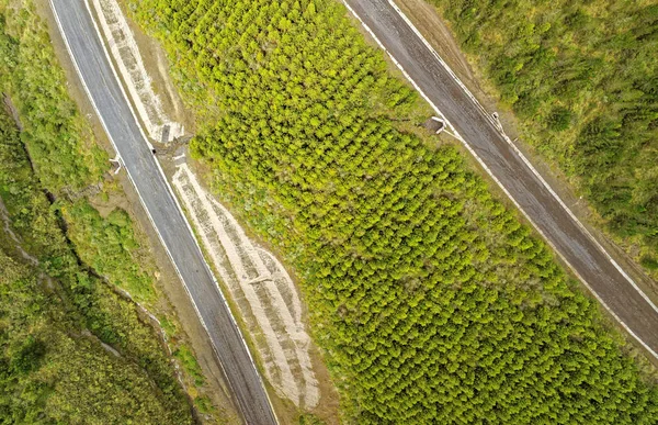 Cotopaxi National Park Road Aerial