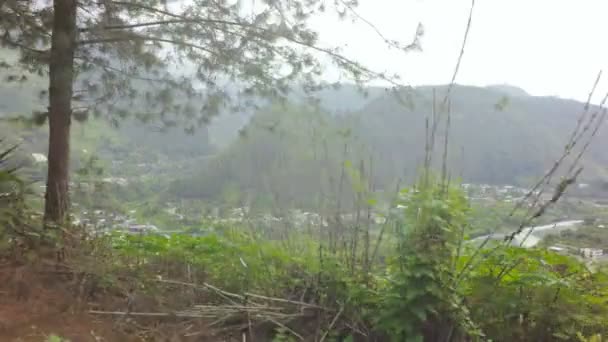 Vista Desde Coche Las Montañas Con Árboles Ricos Follaje Plantas — Vídeos de Stock