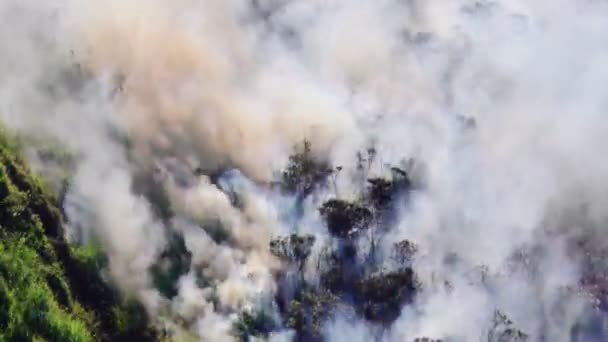 Aufsteigender Rauch Und Feuer Eines Waldbrandes Den Bergen Von Banos — Stockvideo