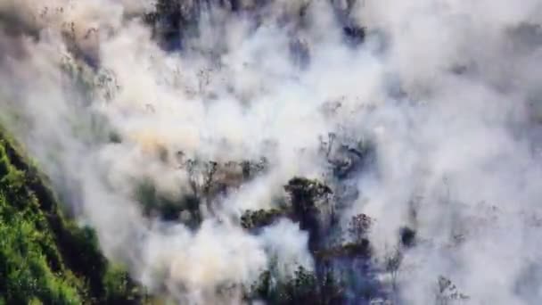 Aufsteigender Rauch Und Feuer Eines Waldbrandes Den Bergen Von Banos — Stockvideo