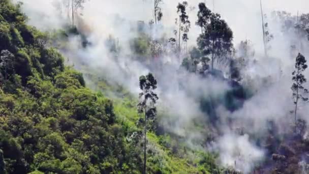 Fumaça Crescente Fogo Incêndio Florestal Nas Montanhas Banos Equador — Vídeo de Stock