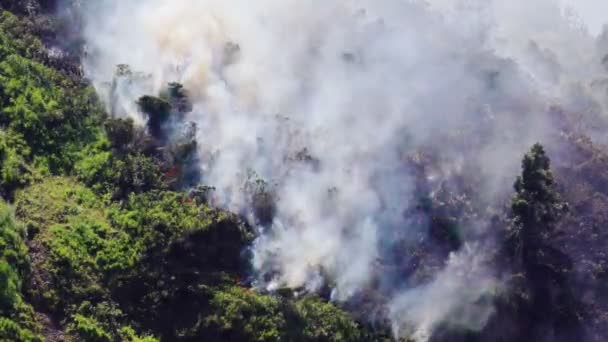 Emelkedő Füst Tűz Egy Erdőtűz Hegyekben Banos Ecuador — Stock videók