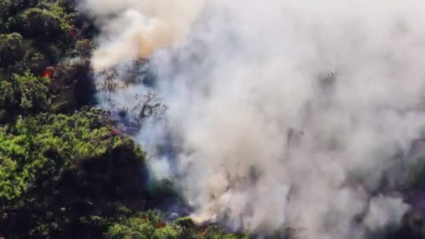 Aufsteigender Rauch Und Feuer Eines Waldbrandes Den Bergen Von Banos — Stockvideo