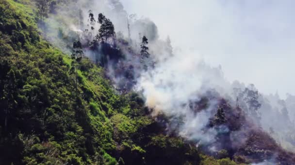 Αυξανόμενη Καπνό Και Φωτιά Από Μια Πυρκαγιά Στο Δάσος Στα — Αρχείο Βίντεο