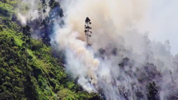 Aumento Del Humo Fuego Incendio Forestal Las Montañas Banos Ecuador — Vídeos de Stock
