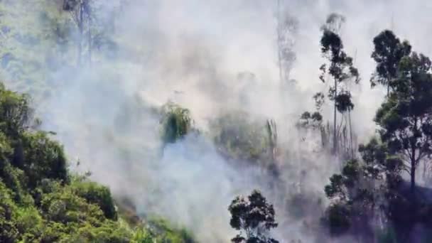 Stigande Rök Och Eld Skogsbrand Bergen Banos Ecuador — Stockvideo