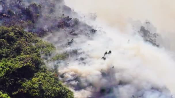 Fumo Crescente Fuoco Incendio Boschivo Nelle Montagne Banos Ecuador — Video Stock