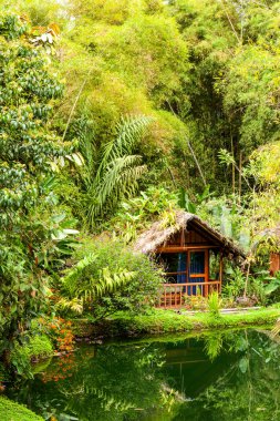 Ekvador Mindo Bölgesindeki Bir Gölün Önündeki Küçük Kulübe