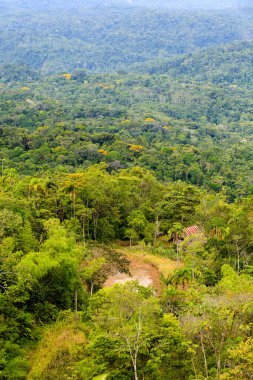 Amazon Küvet Yüksek İzleme Noktası Ekvator BileşeniName