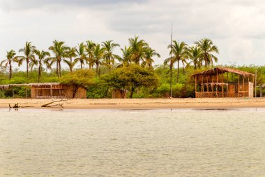 Ekvador 'daki Egzotik Plaj