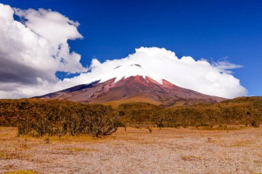 Cotopaxi, quito Ekvador yakınlarındaki And Dağları 'nda bulunan bir yanardağdır.