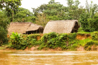 Yerli Huaorani Kulübeleri Ekvador Yasuni Milli Parkı Waorani Bölgesi