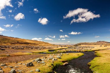 Ekvador 'daki Cotopaxi Ulusal Parkı Büyük Kaya Yayılımından Kilometrelerce Uzaktadır