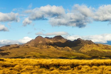 Pasochoa Volkan Manzarası Iliniza Volkanik Mülteci And Dağlarından
