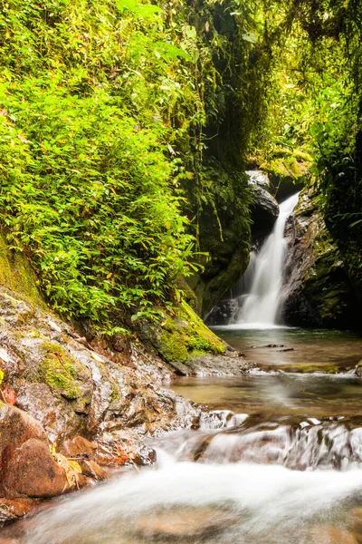 Waterfall Amazonian Rain Forest — Stock Photo, Image