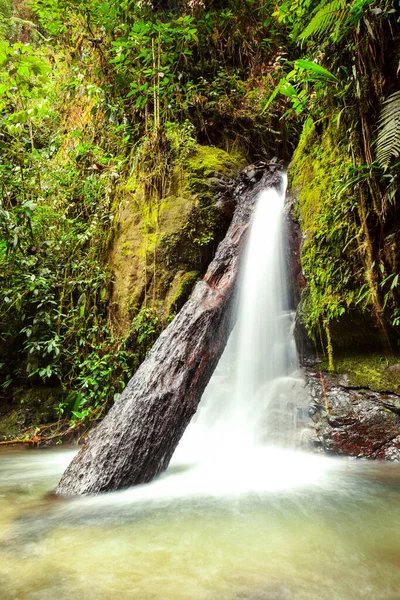 Small Waterfall Mindo Complicated Ecuador — Stock Photo, Image