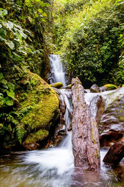 Waterfall Amazonian Water Jungle — Stock Photo, Image