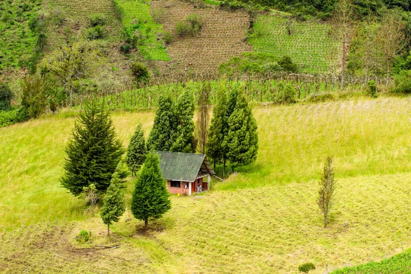 Μικρή Αγροικία Στα Υψίπεδα Του Εκουαδόρ Των Άνδεων — Φωτογραφία Αρχείου